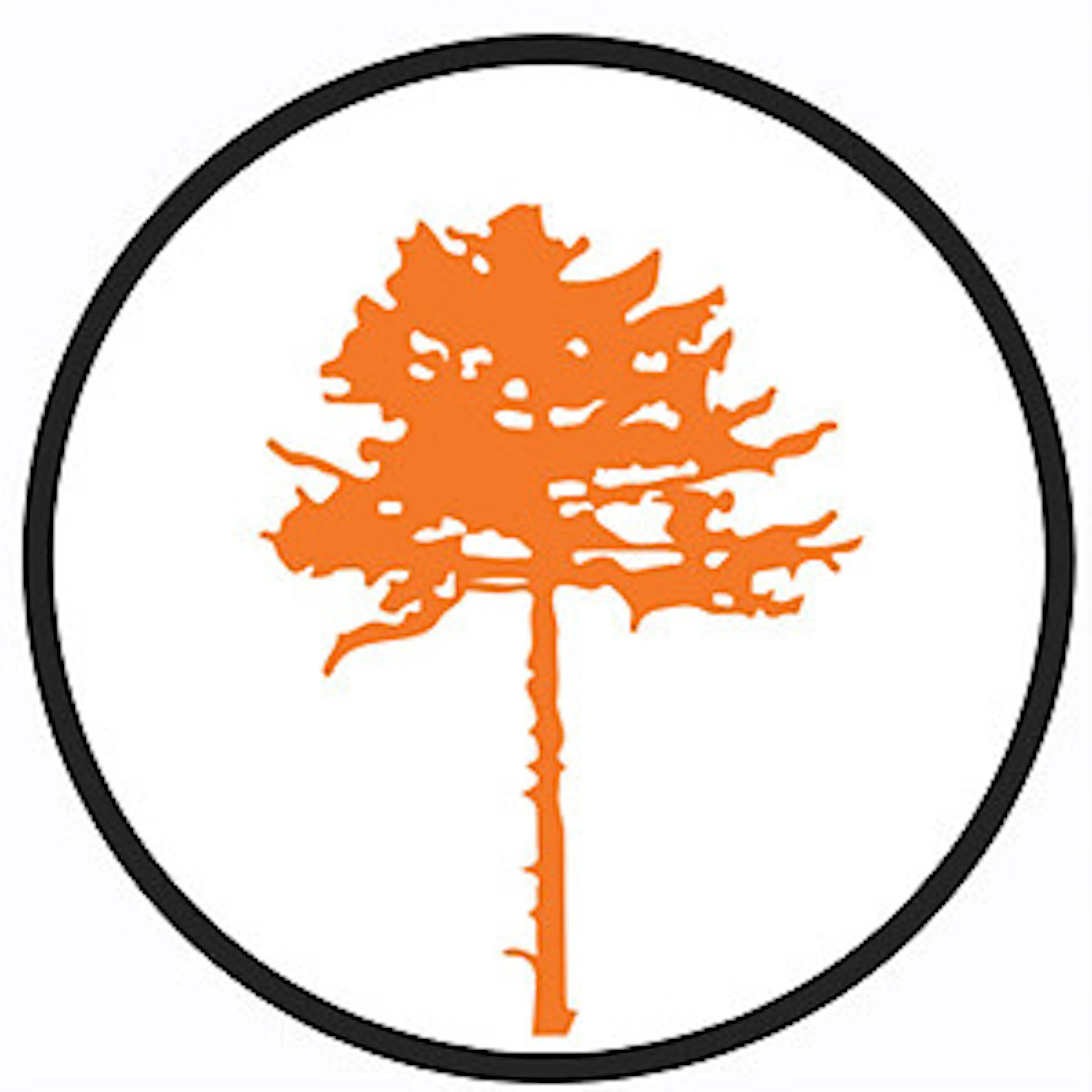 AUER CBD logo