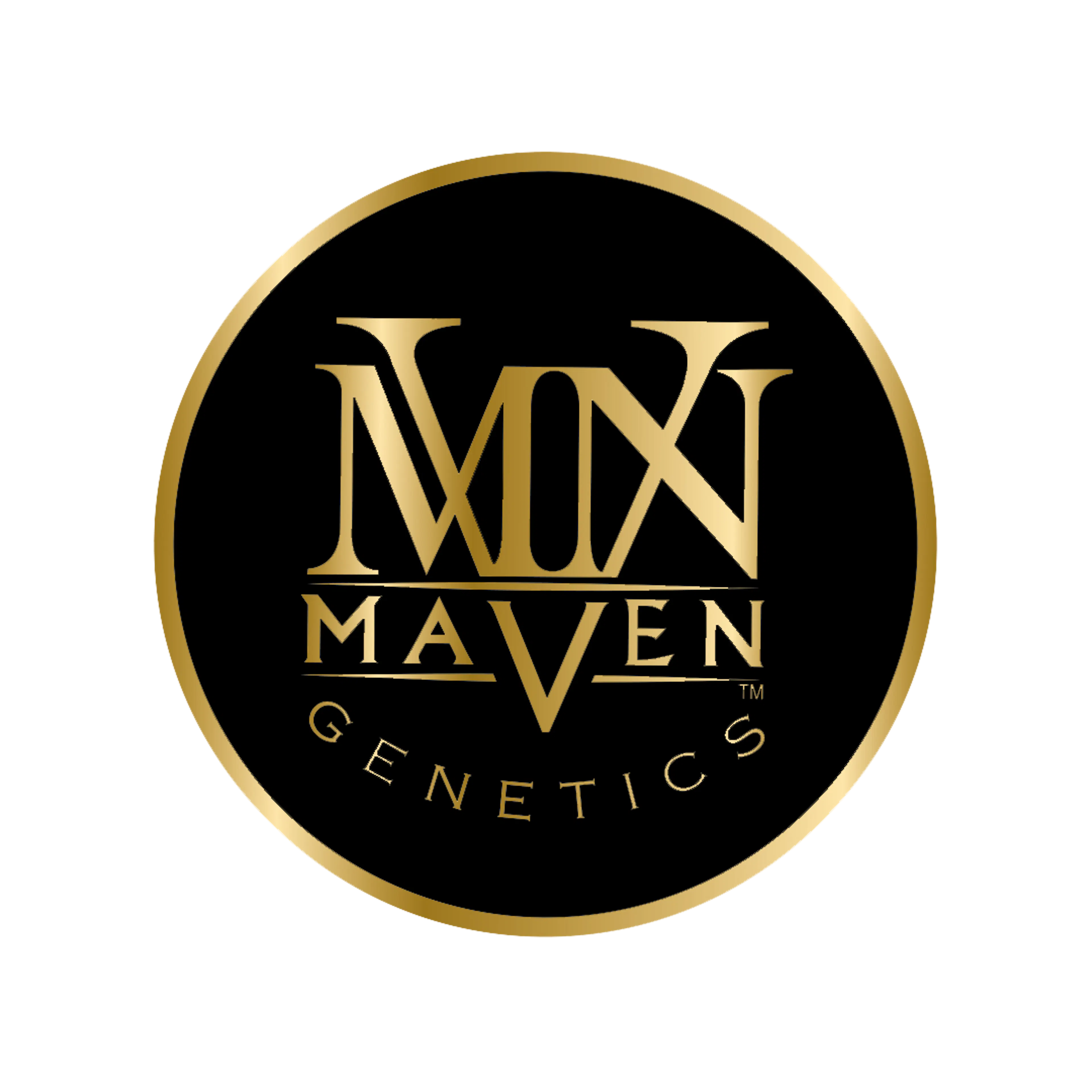Maven Genetics logo