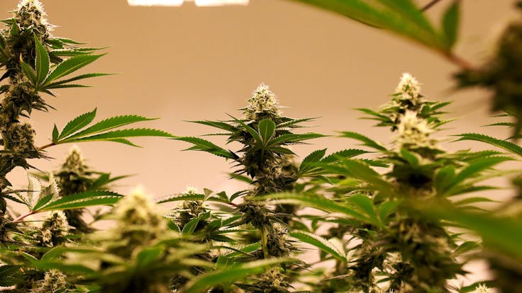 Room #2 Showing off!