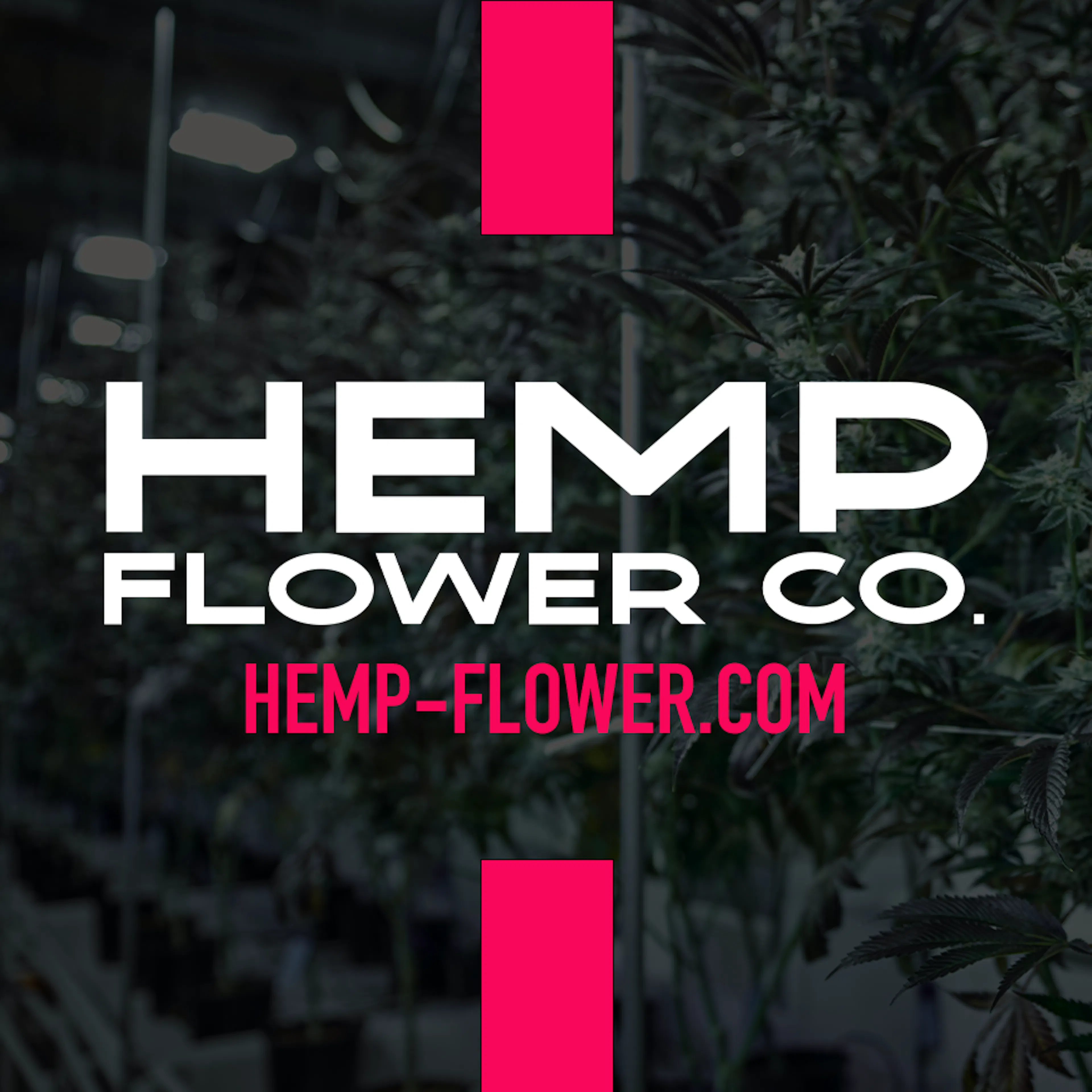 Hemp Flower Co. logo