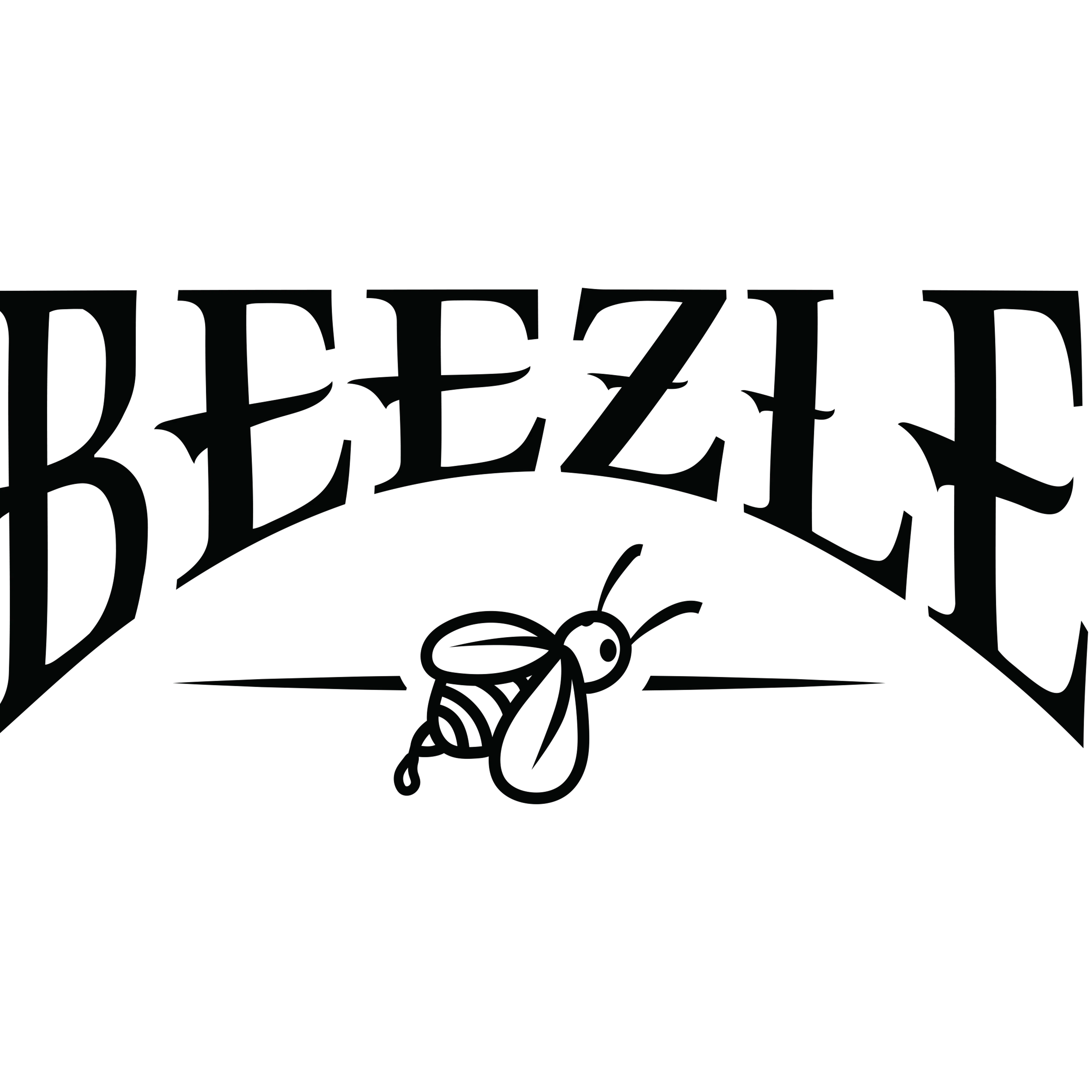 Beezle Maryland logo