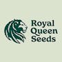 Royal Queen Seeds