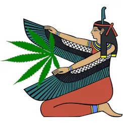 Mystic Herbal care logo