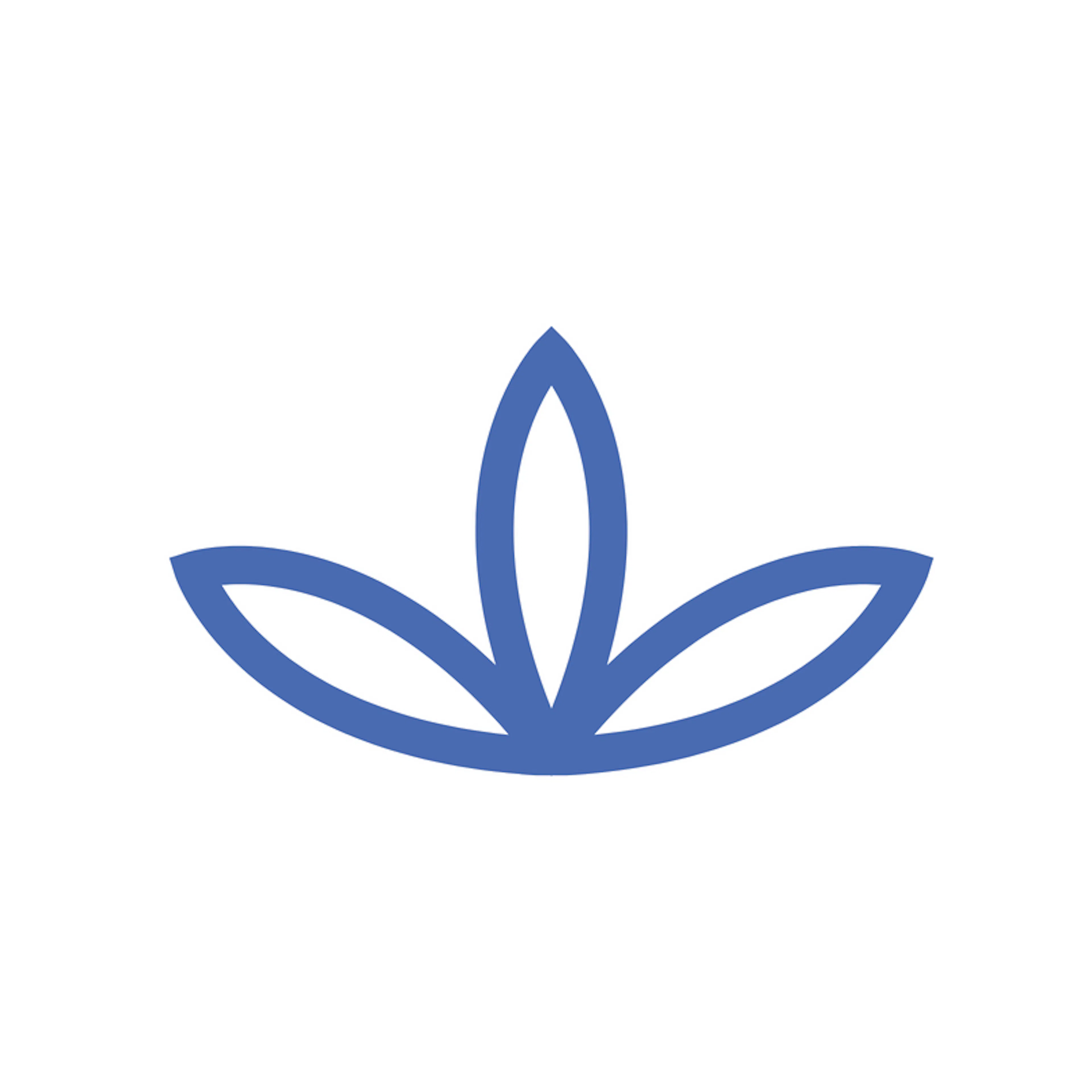 BC Consulting logo