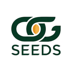 OG Seeds logo