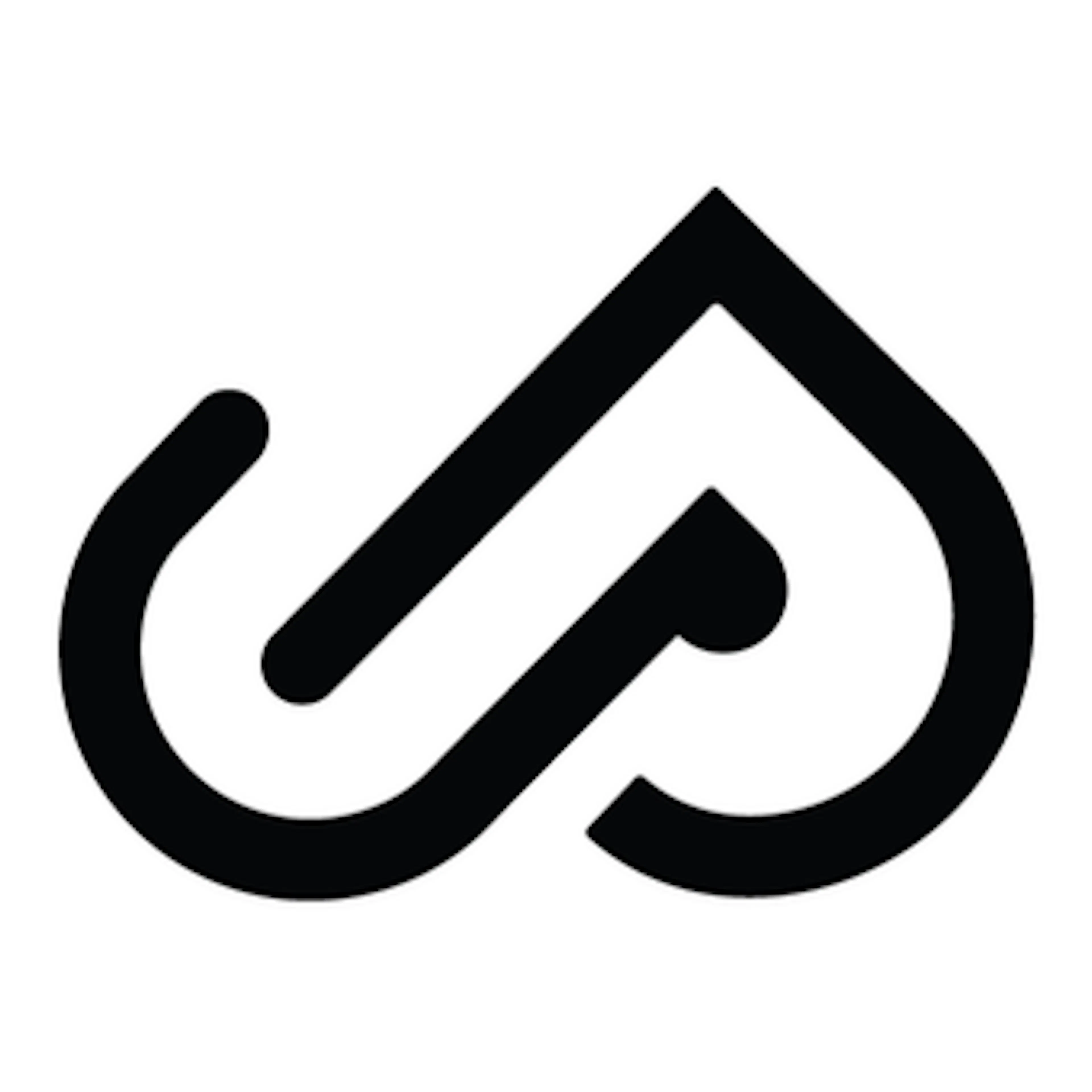 Platinum Jane logo