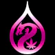Dragon Elixir logo