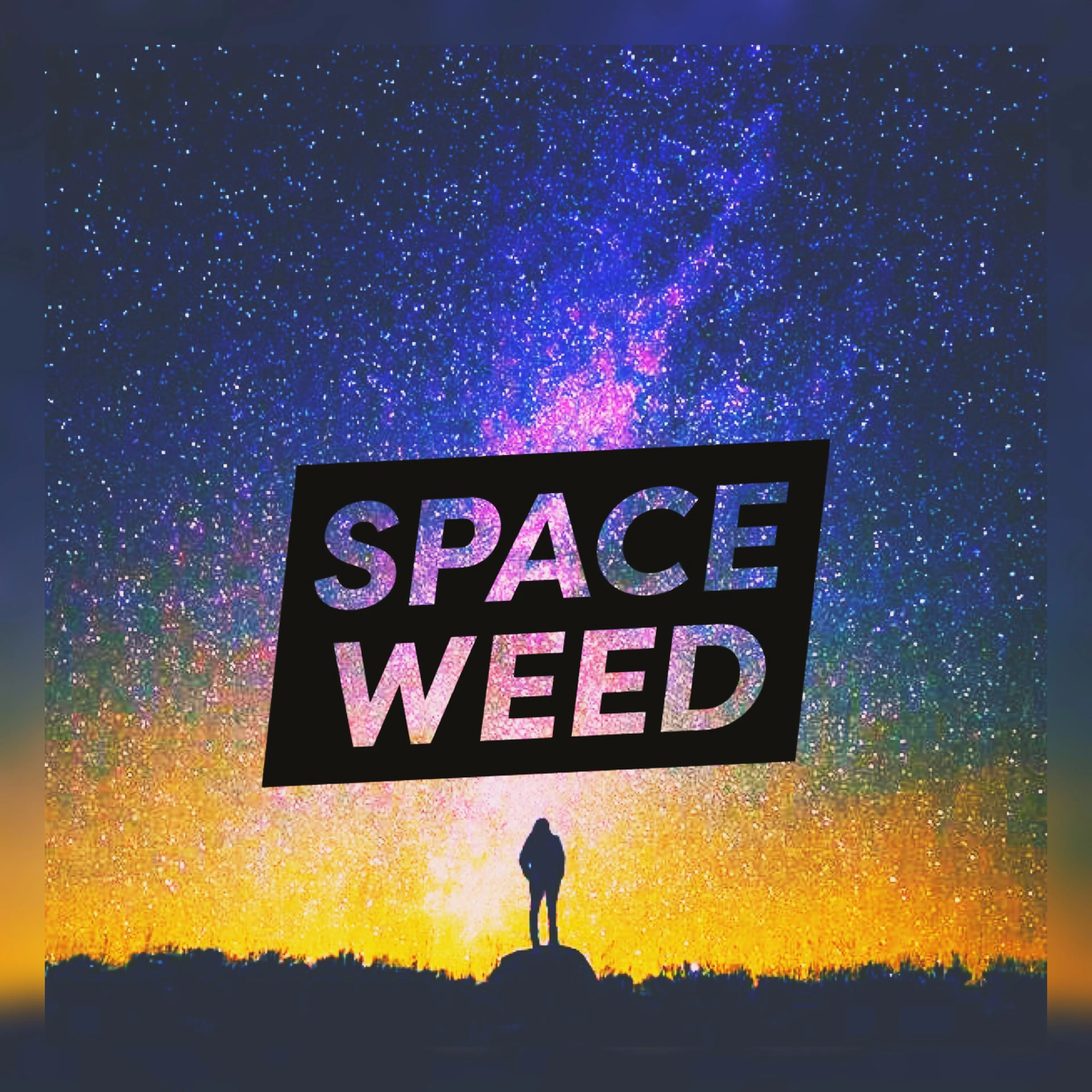 Space Weed by CannaGenesis logo