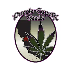 Purple Caper Seeds logo