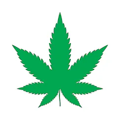 Silogro #1 Indoor Grow Box logo