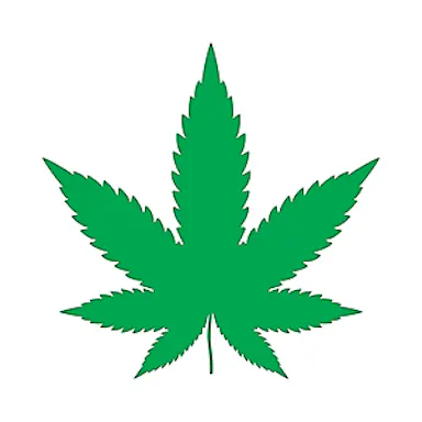 Silogro #1 Indoor Grow Box logo