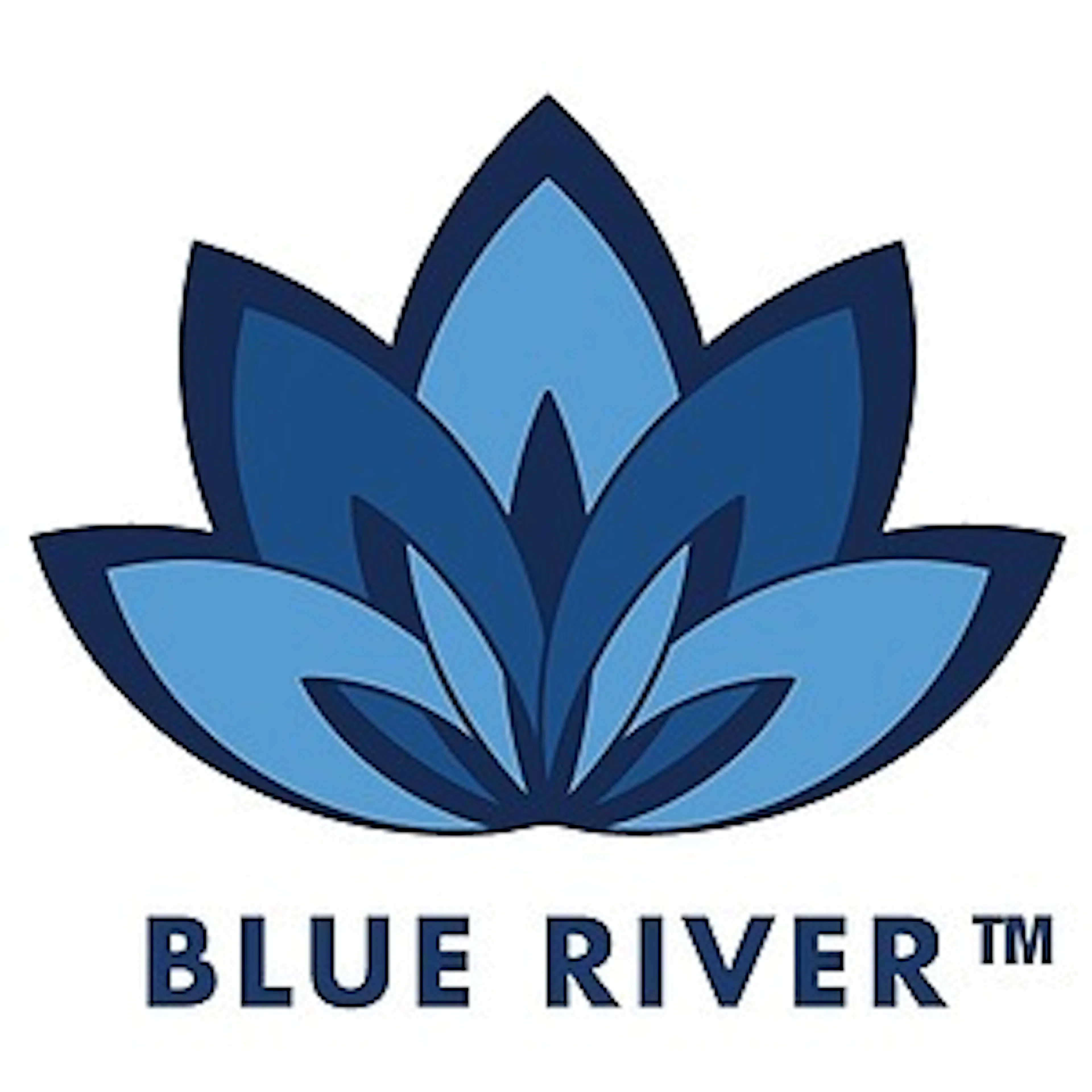 Blue River logo