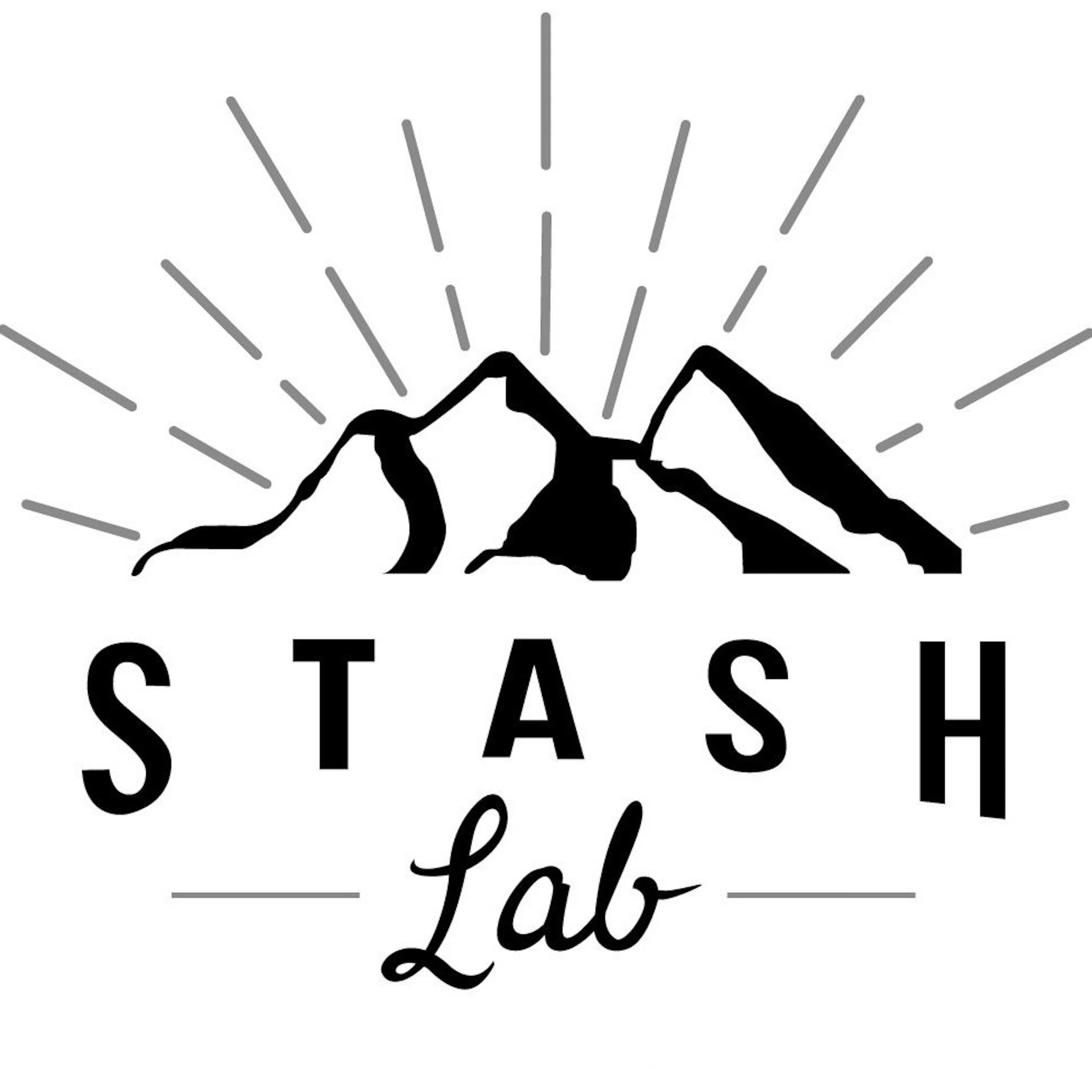 Stash Lab Technologies logo