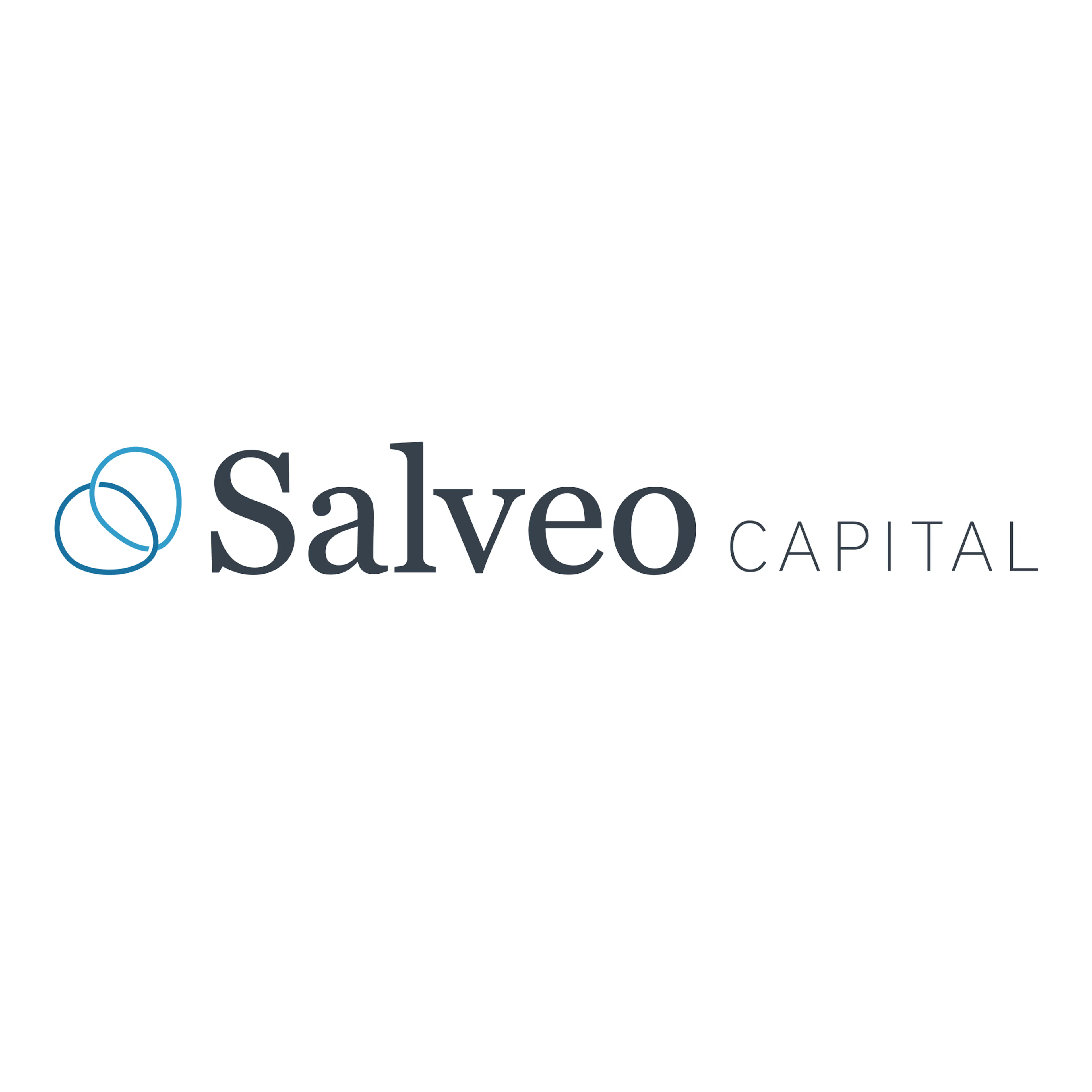 Salveo Capital logo
