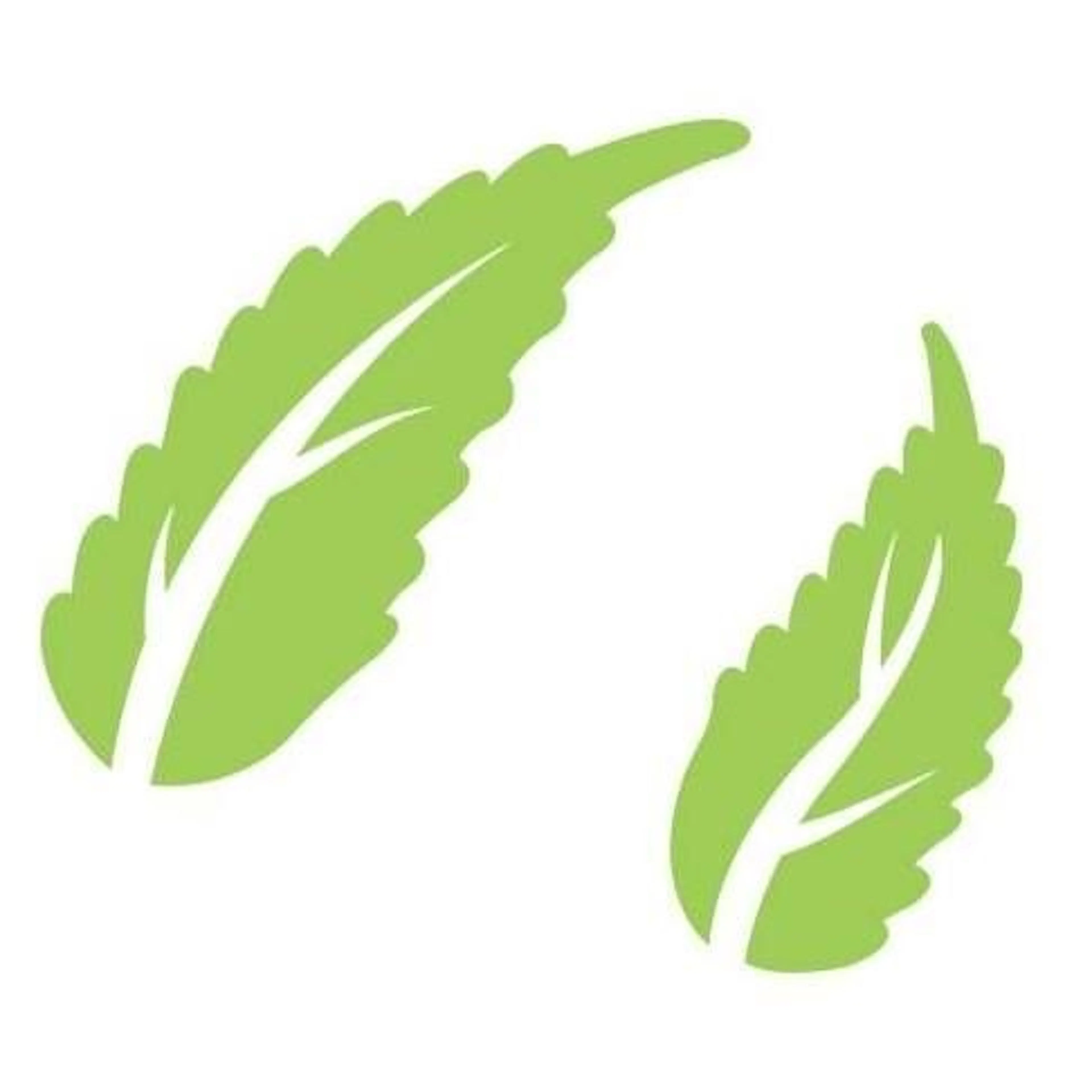 Anavii Market | Premium Verified Hemp-Derived CBD Oil logo
