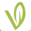 Logo for the brand Veterans Vitality