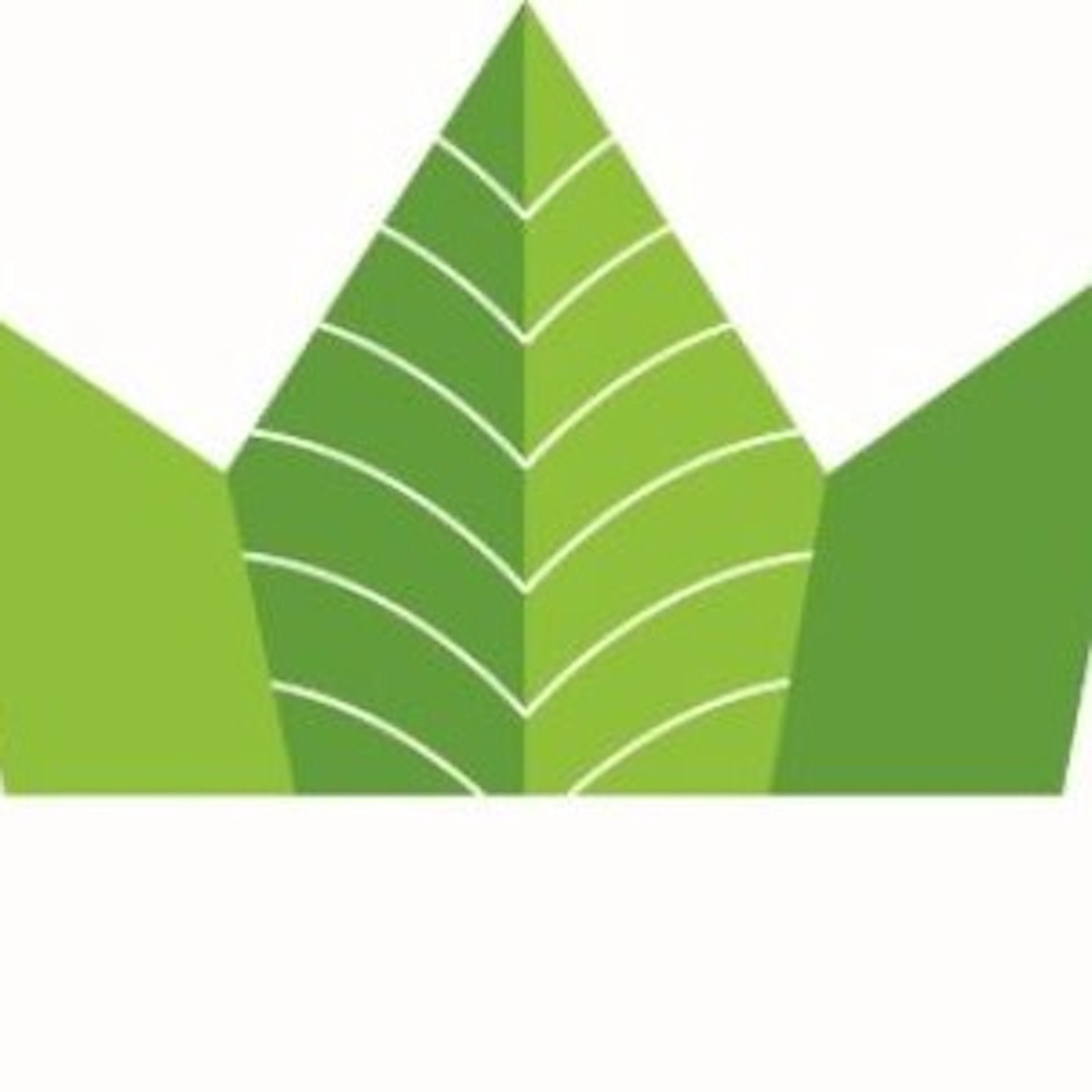 RedeCan Medical logo