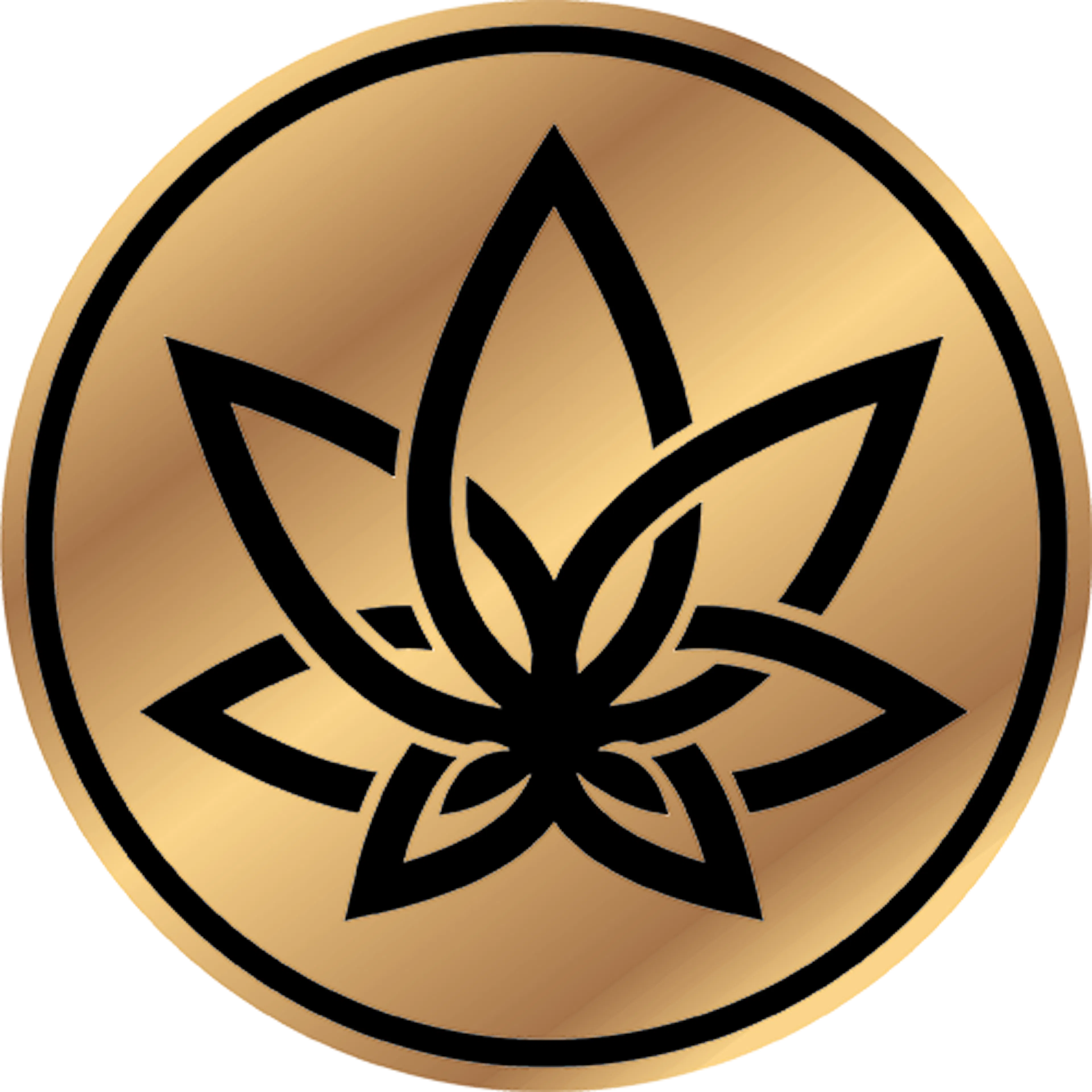 3CHI logo