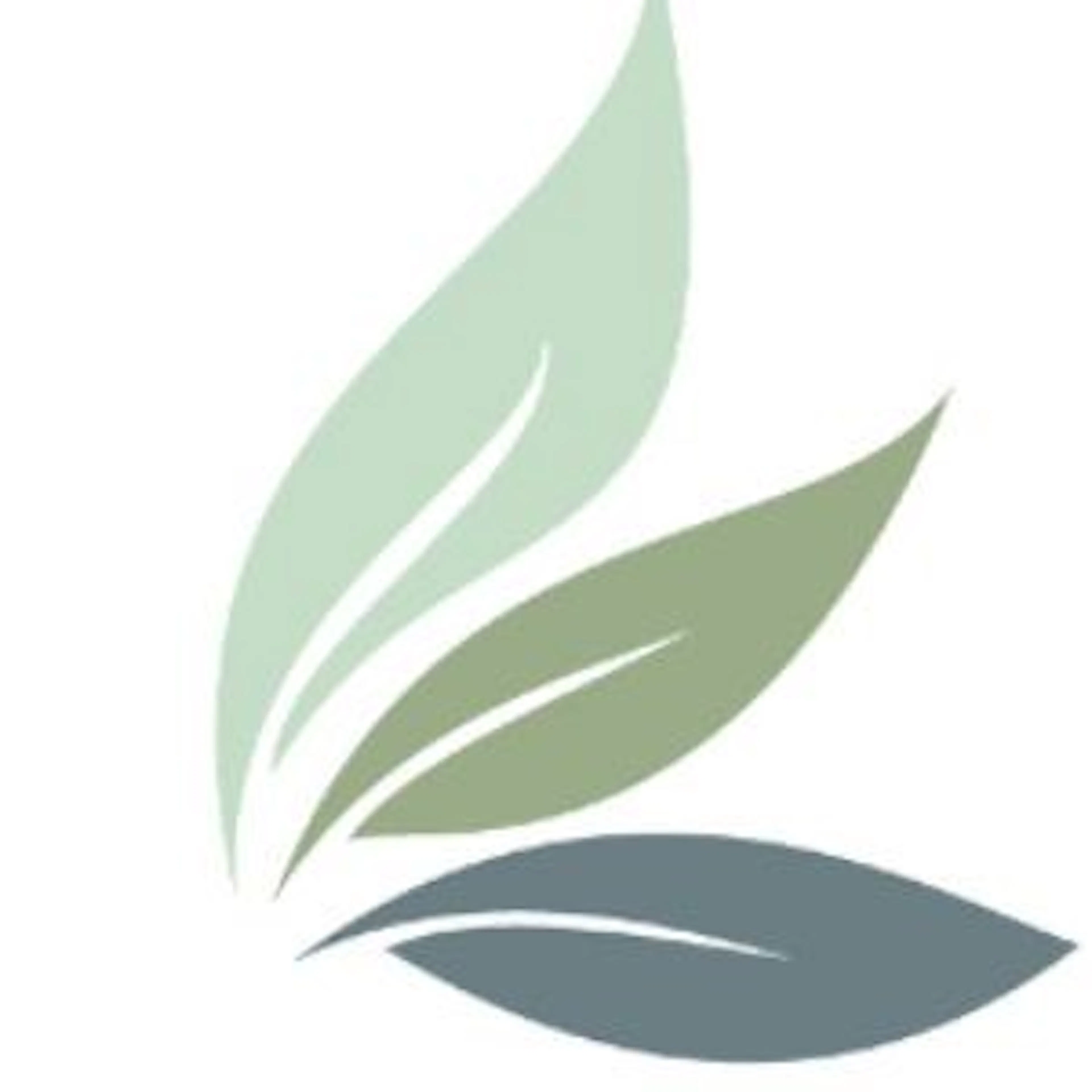 Bizchit logo