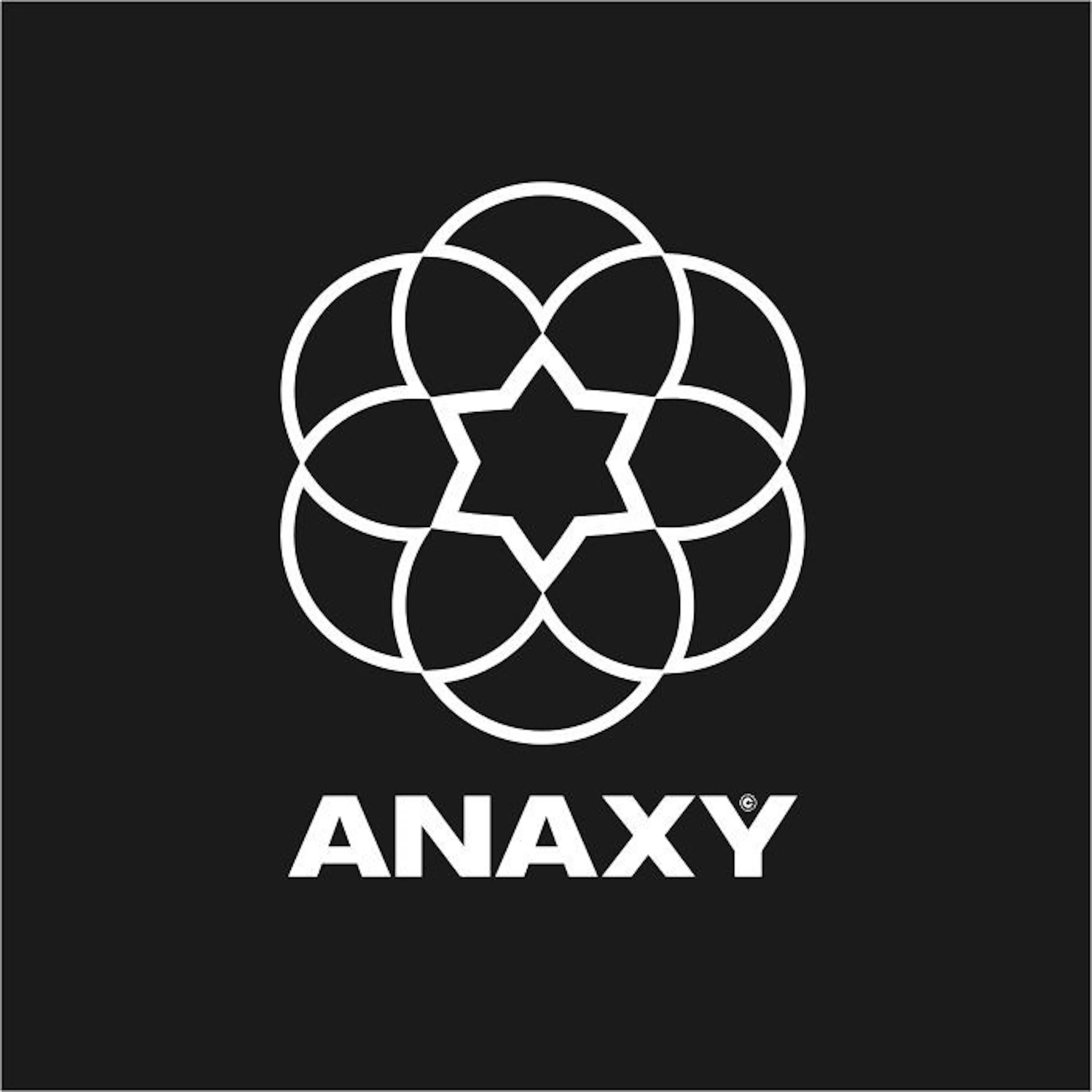 ANAXY.net logo