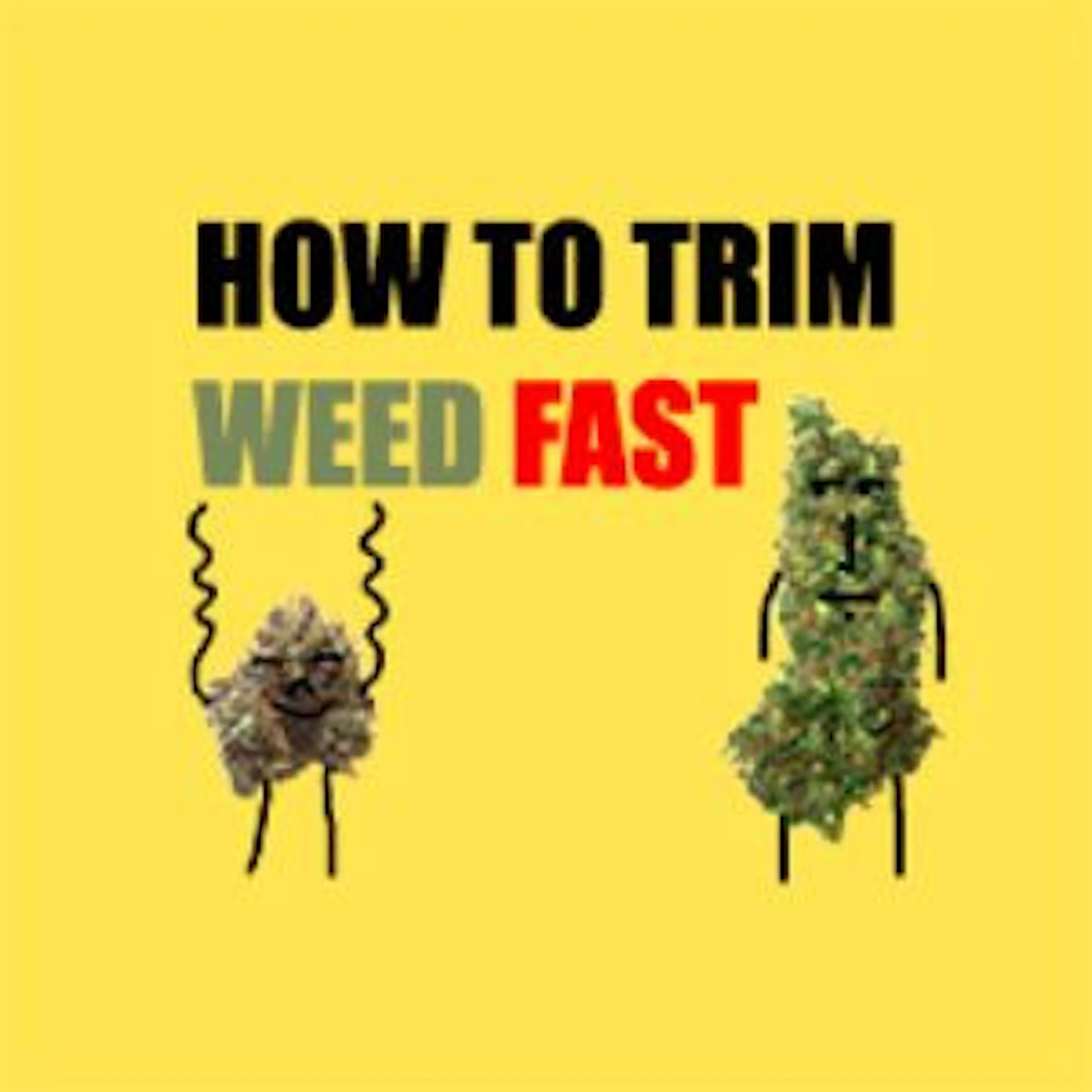 Trim Weed Fast logo