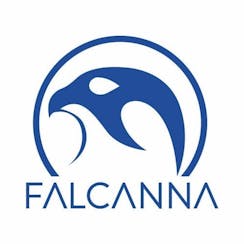 Falcanna logo