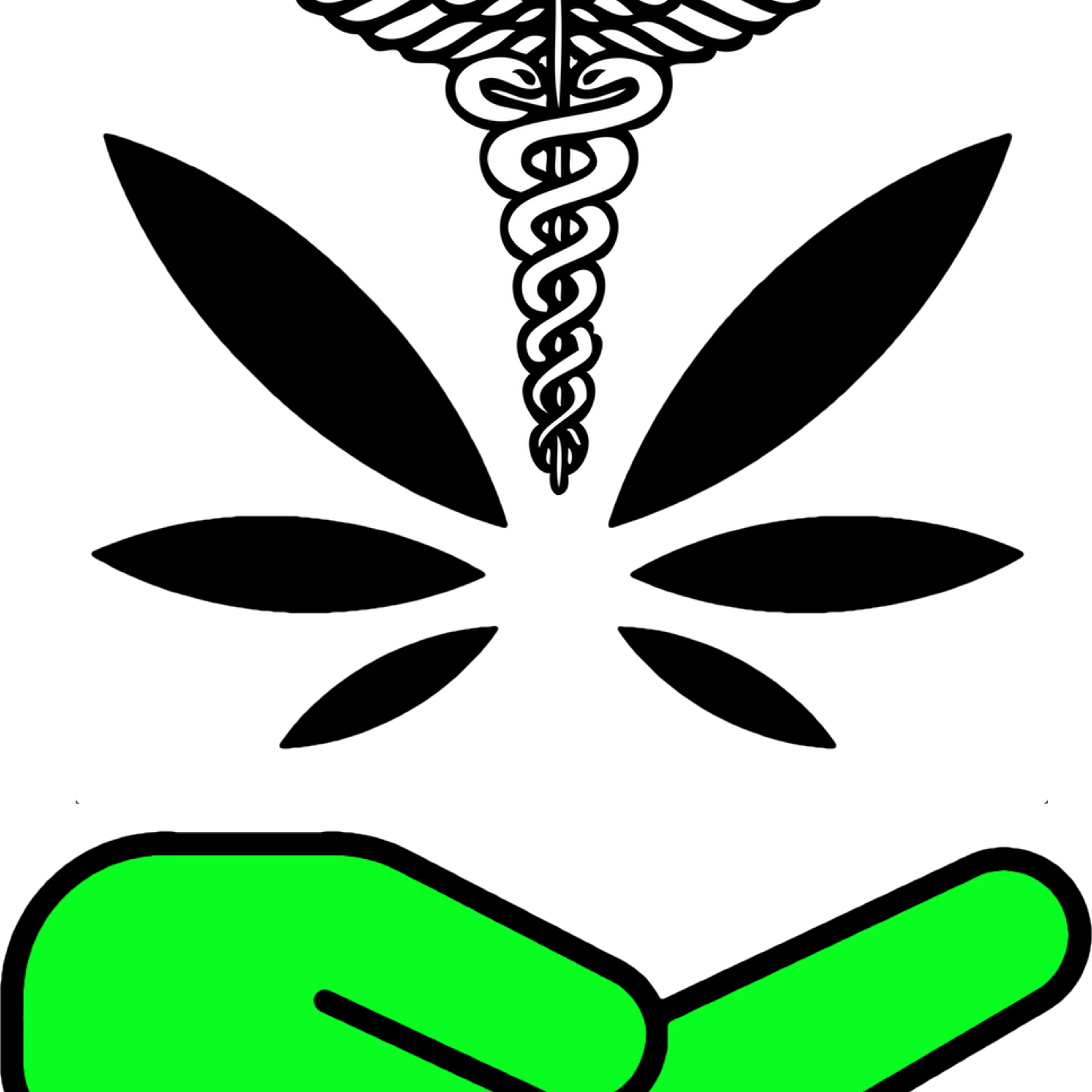 Sapient Infusions logo