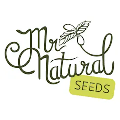 Mr. Natural Seeds logo