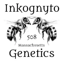Inkognyto Genetics logo