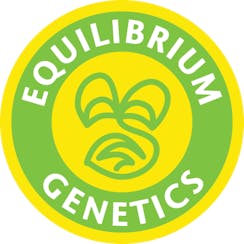 Equilibrium Genetics logo