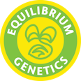 Equilibrium Genetics | Tom Hill Haze | Regular Seed | 4-Pack