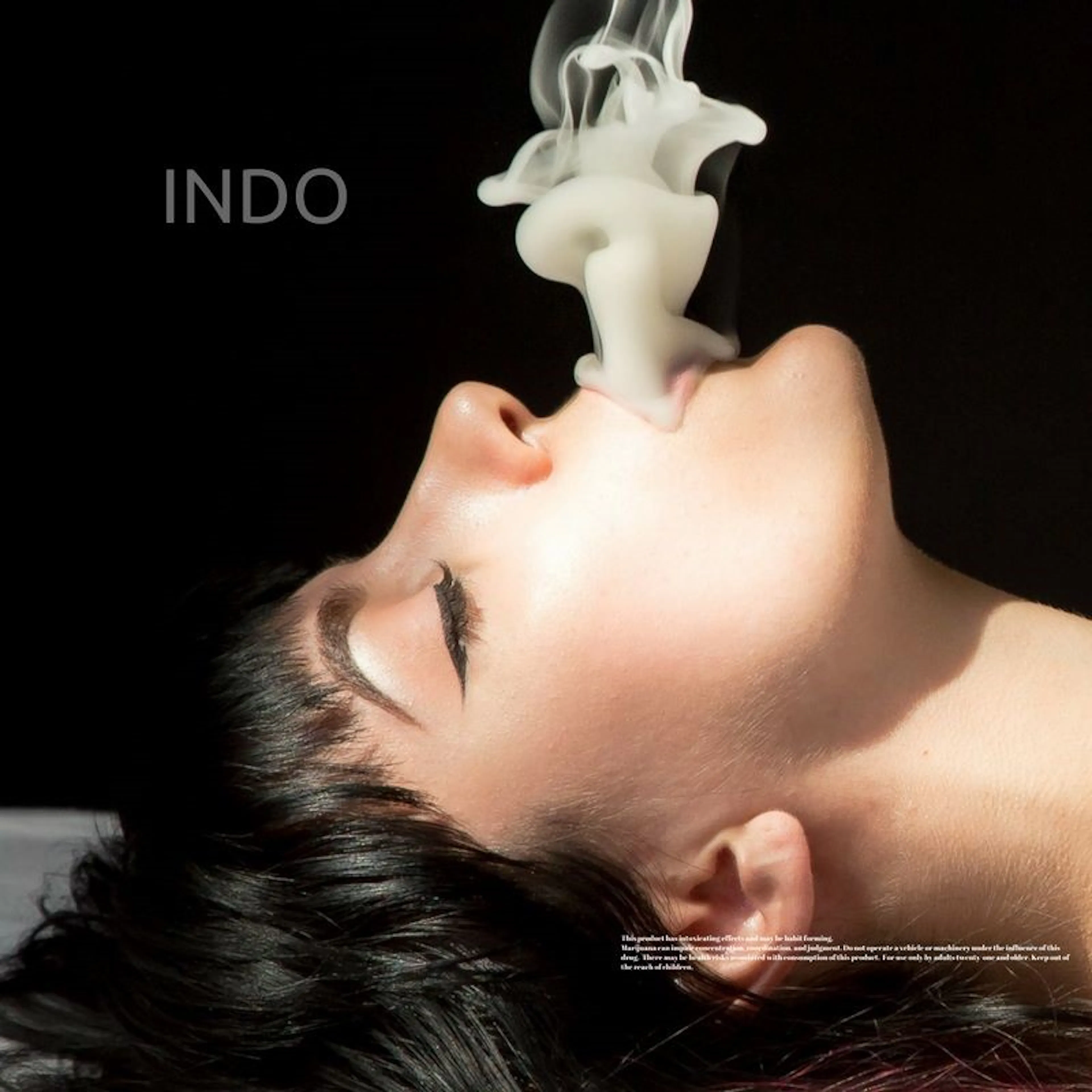 INDO logo