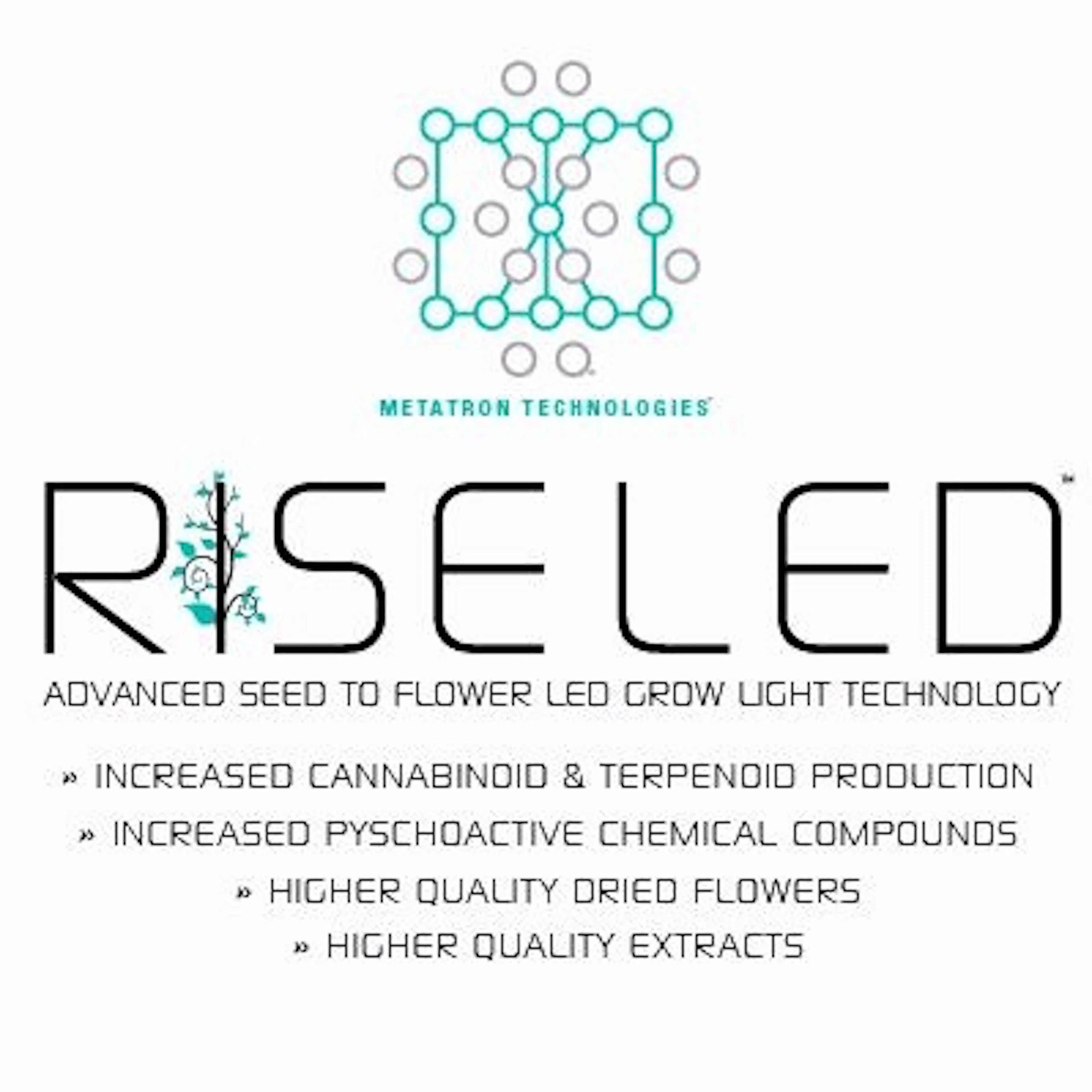 RISE LED logo