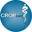 Logo for the brand CROPsoft