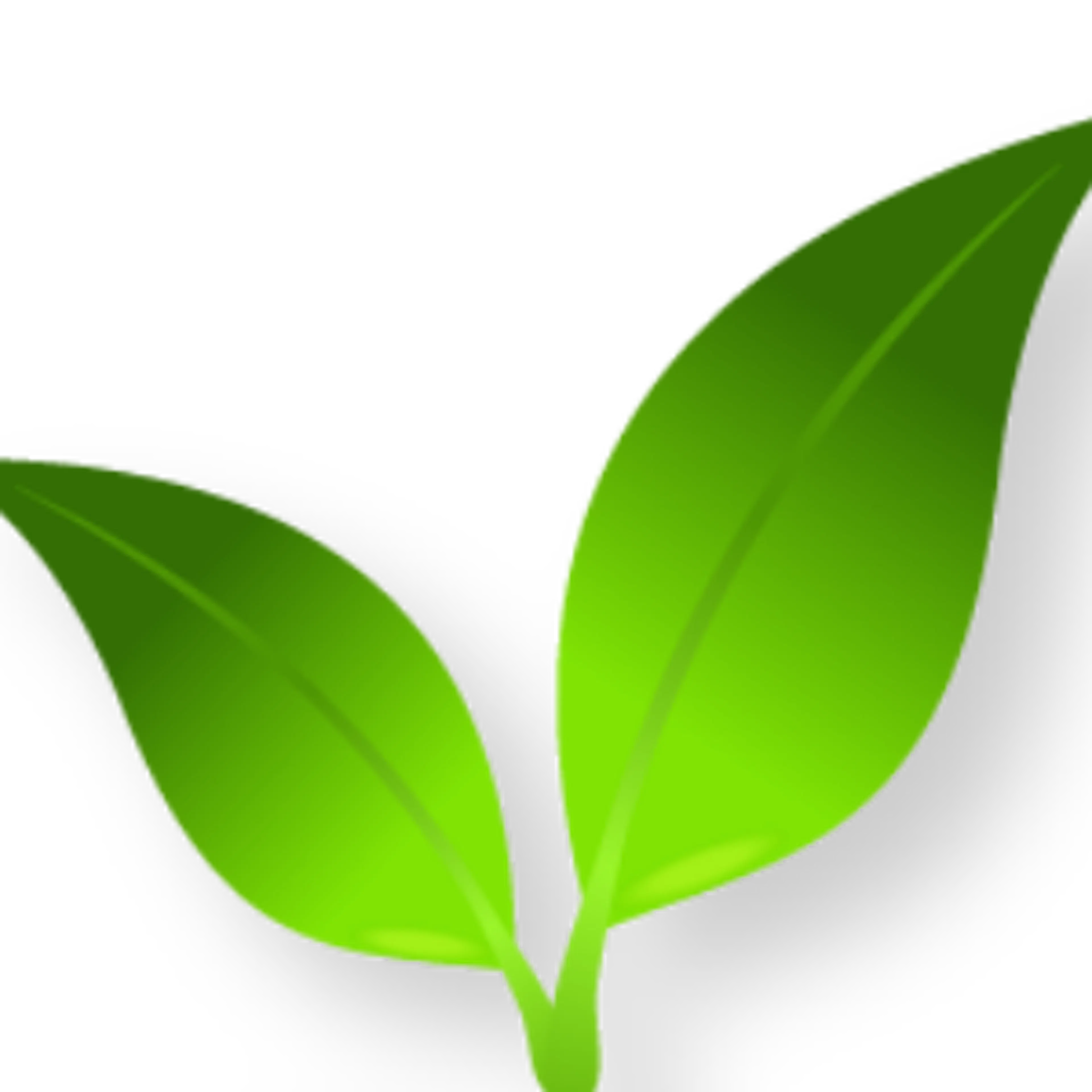 Pure MediCanna CBD logo