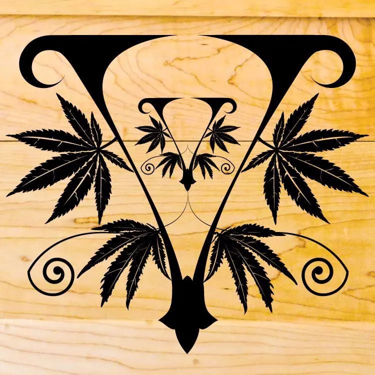 Vitonic logo