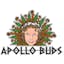 Logo for the brand Apollo Buds