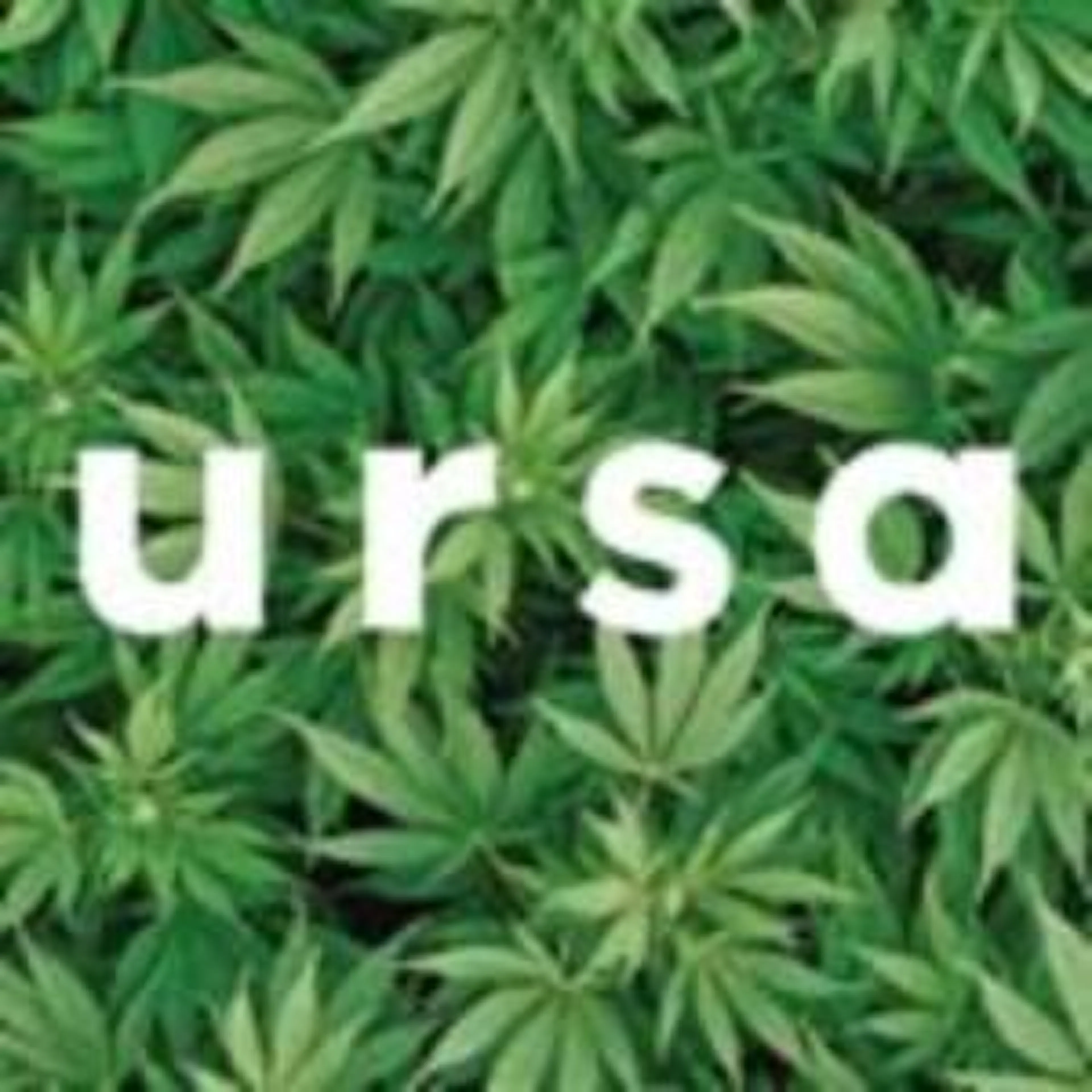 Ursa Lighting logo