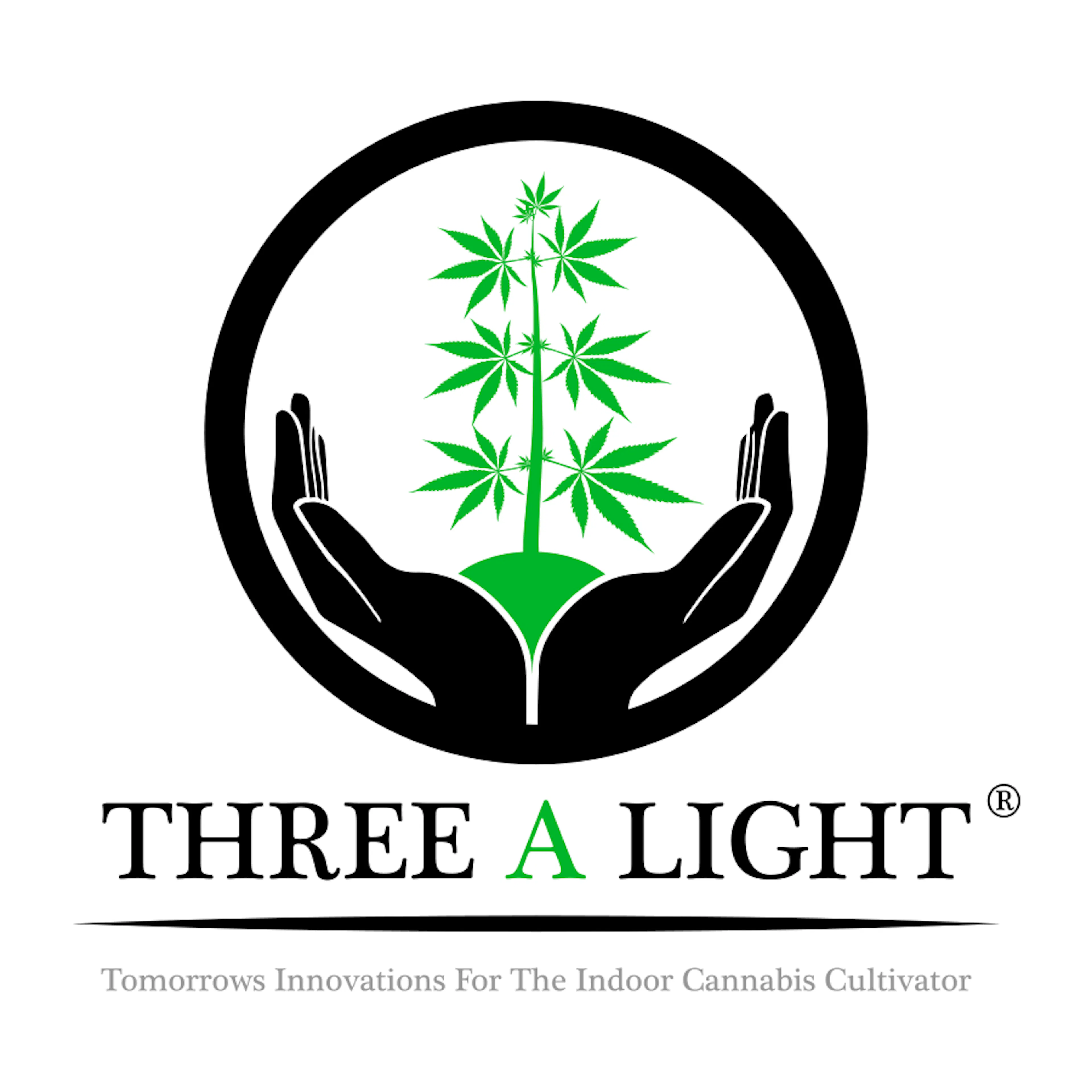 Three A Light logo