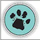 Nova logo