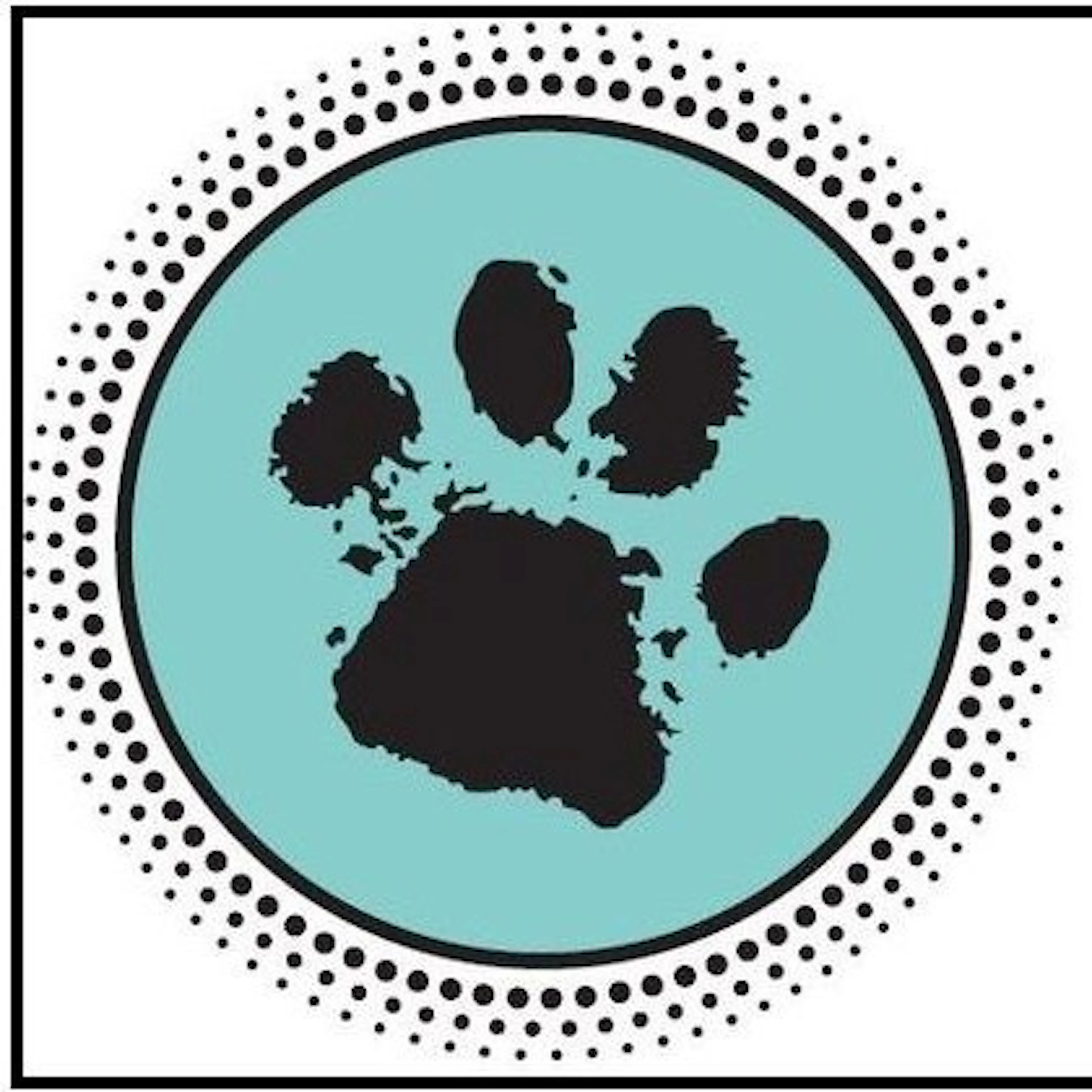 Nova logo