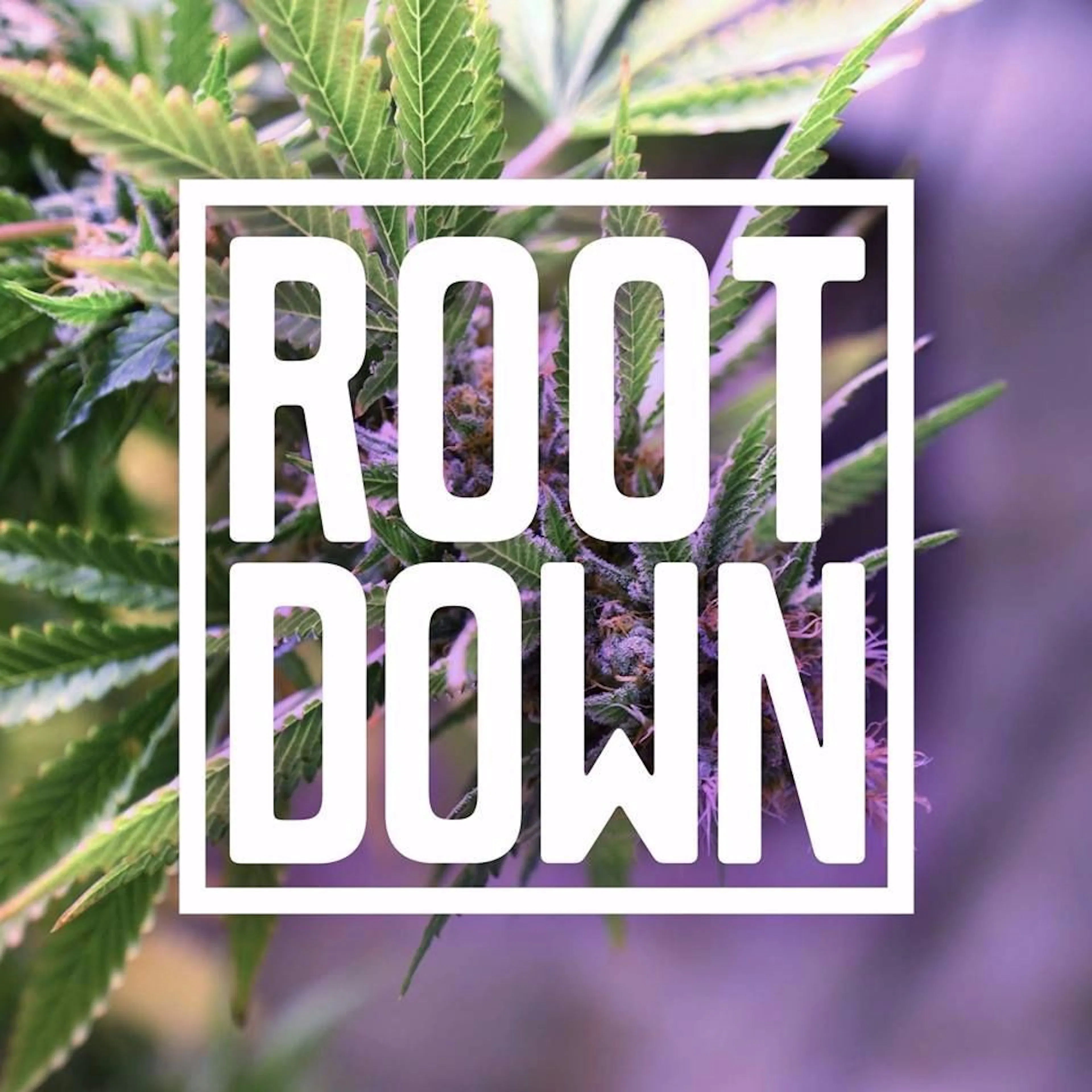 Root Down logo