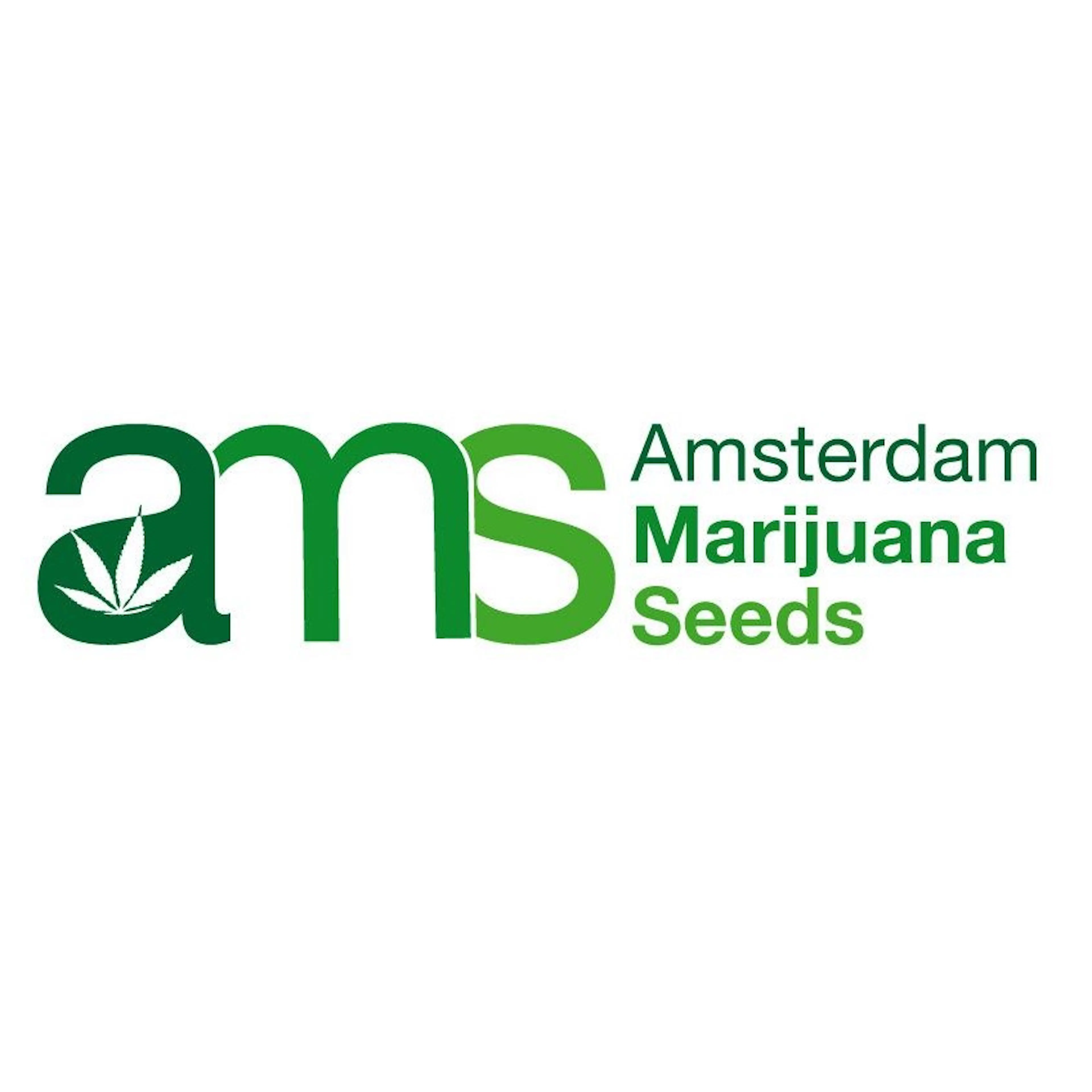 Amsterdam Marijuana Seeds logo