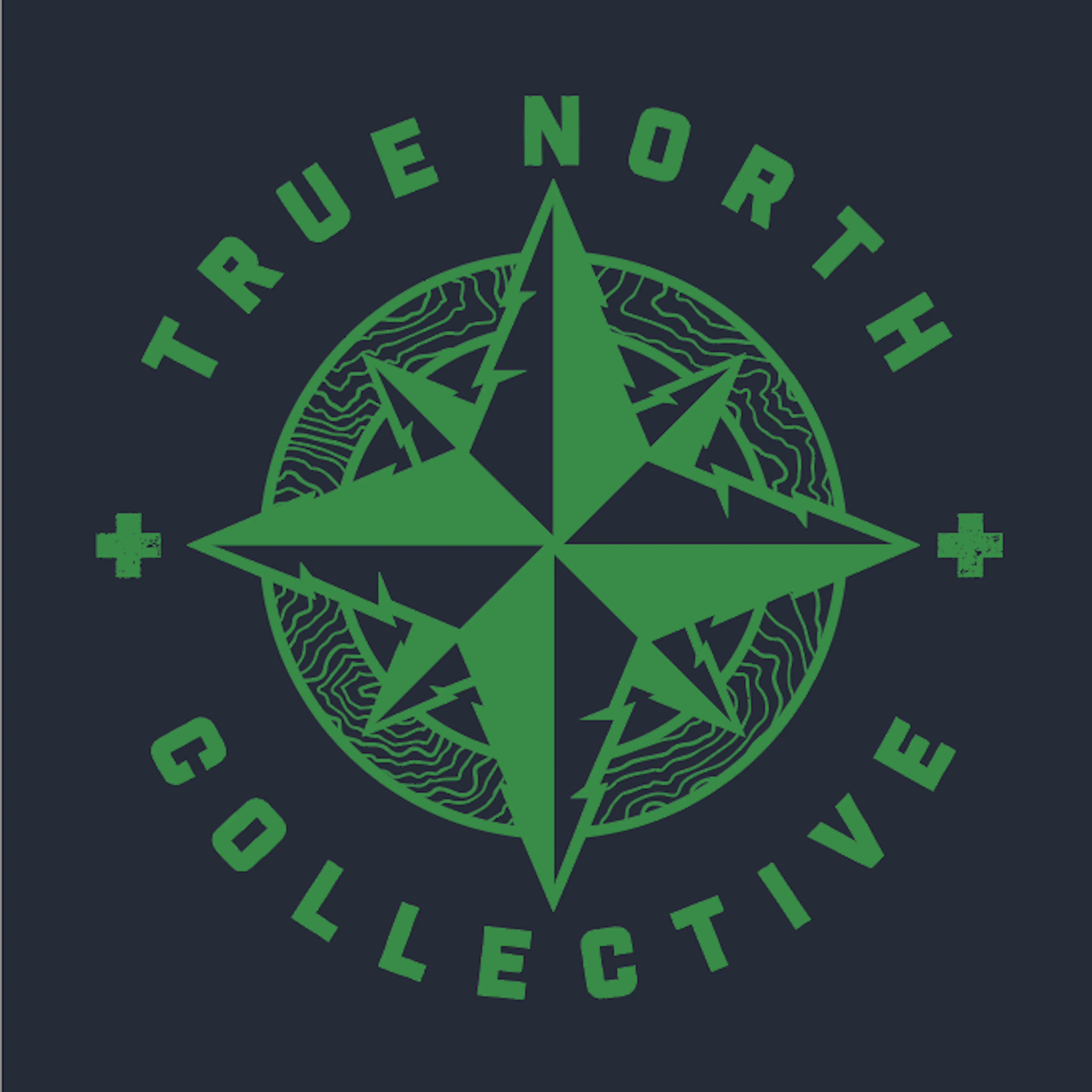 True North Collective MI logo