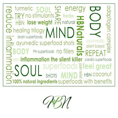 HBN Endless Possibilities logo