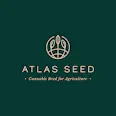Atlas Seeds - GMO 8 - Autoflower
