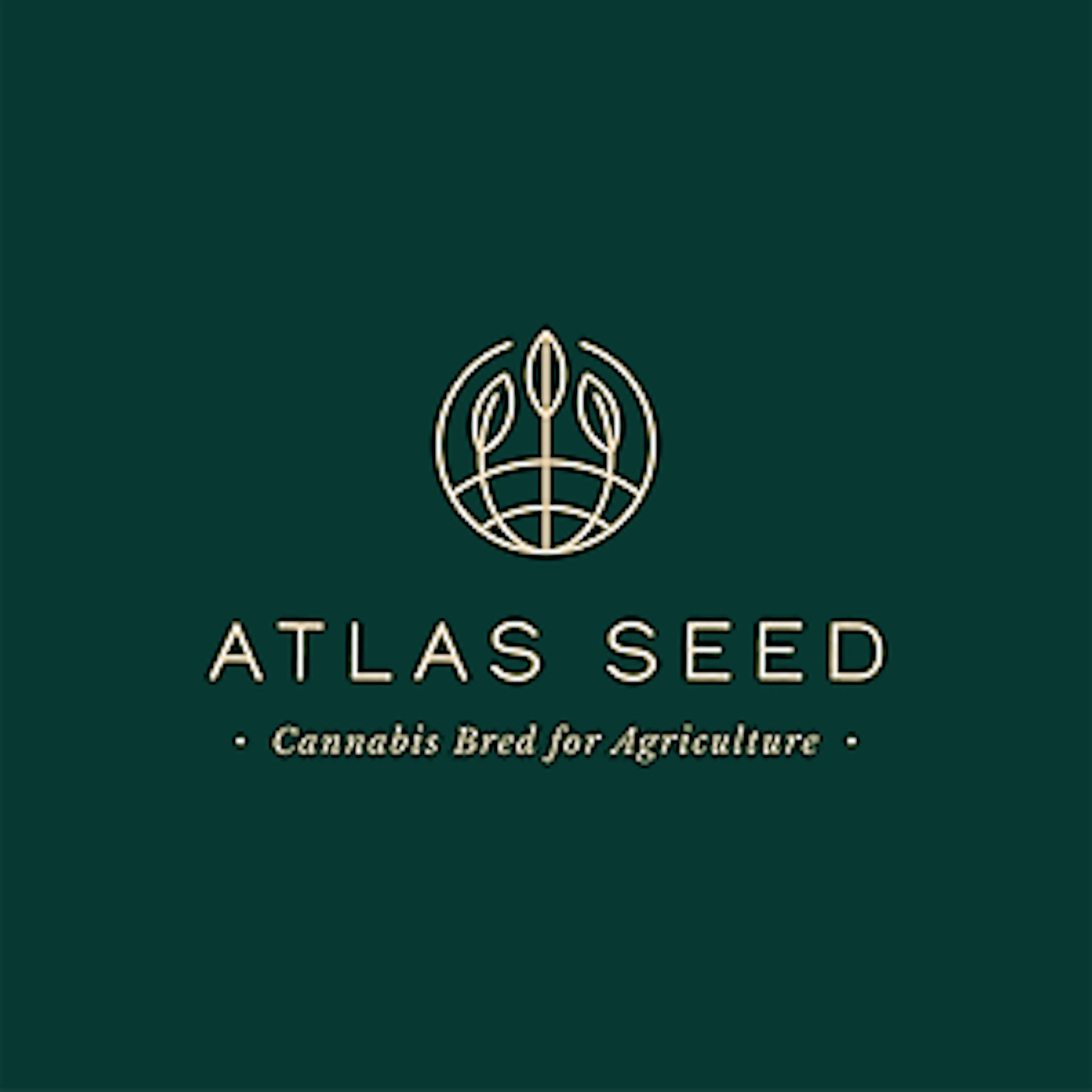 Atlas Seed logo