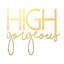 Logo for the brand High Gorgeous