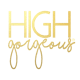 High Gorgeous logo