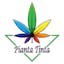Logo for the brand Pianta Tinta
